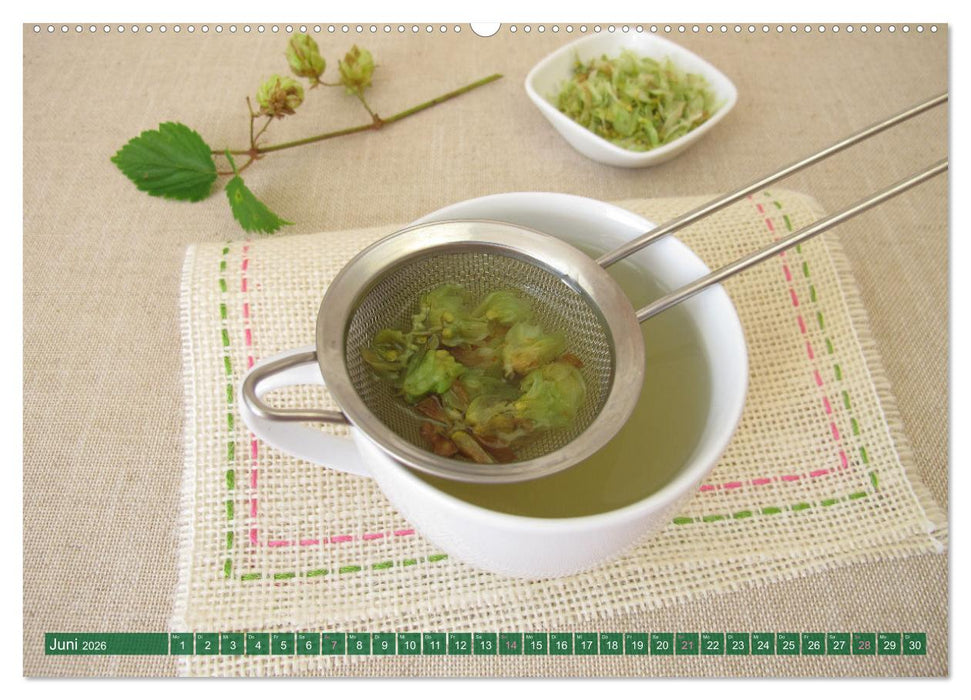 Mein Blütentee (CALVENDO Wandkalender 2026)