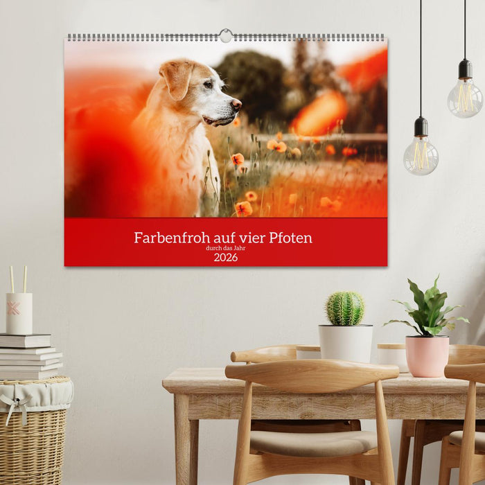Farbenfroh auf vier Pfoten durch das neue Jahr (CALVENDO Wandkalender 2026)