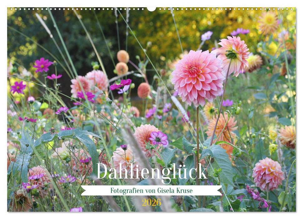 Dahlienglück (CALVENDO Wandkalender 2026)
