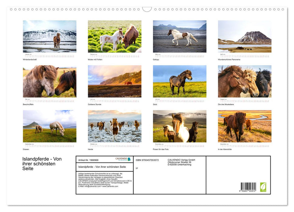 Islandpferde - Von ihrer schönsten Seite (CALVENDO Wandkalender 2026)