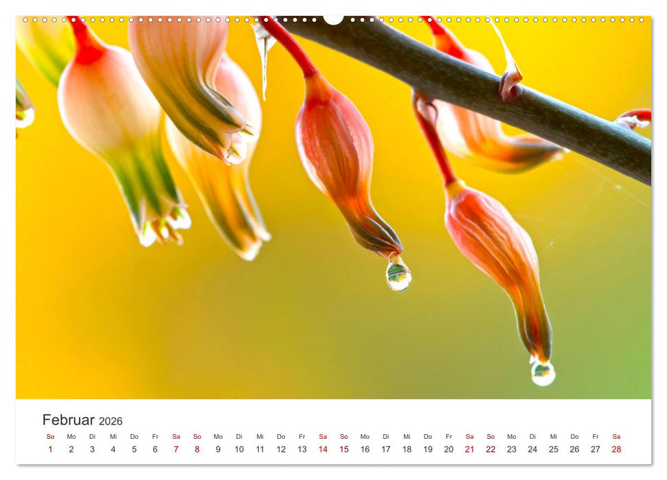 ZEN - Eine Reise zu sich selbst (CALVENDO Premium Wandkalender 2026)