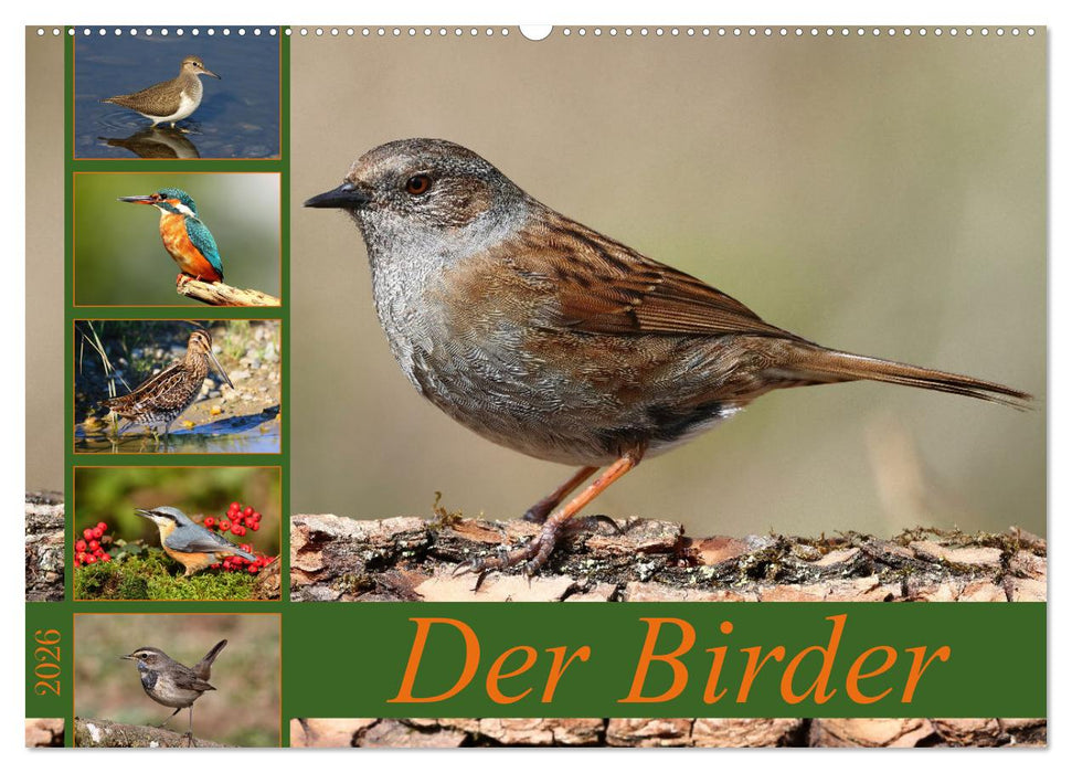 Der Birder (CALVENDO Wandkalender 2026)