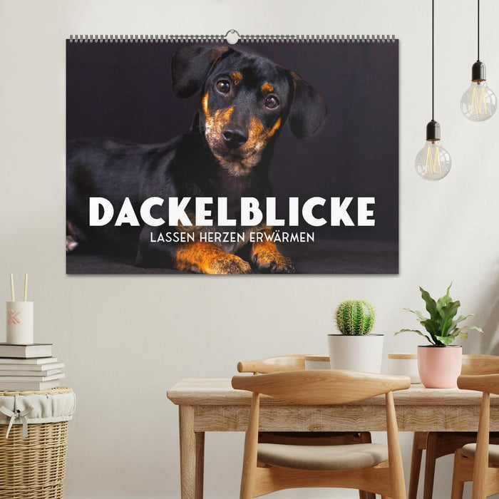 Dackelblicke - Lassen Herzen erwärmen. (CALVENDO Wandkalender 2026)