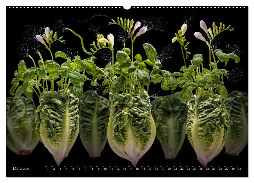 Fruta incognita - Die wundersame Welt des Fotografen Olaf Bruhn (CALVENDO Wandkalender 2026)