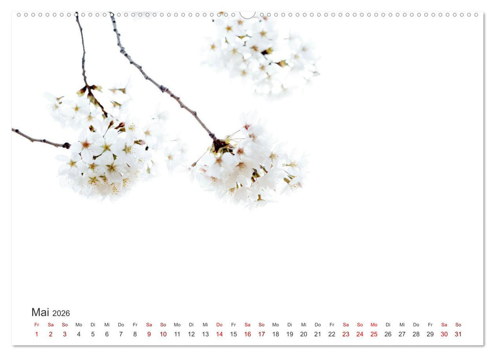 ZEN - Eine Reise zu sich selbst (CALVENDO Wandkalender 2026)