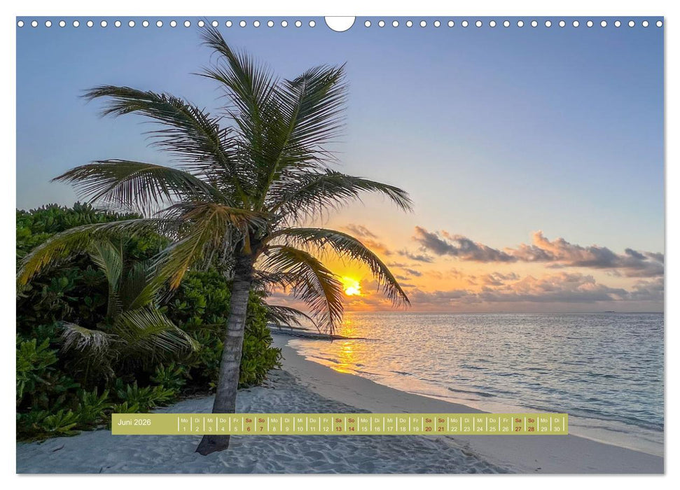 Kudafushi (CALVENDO Wandkalender 2026)