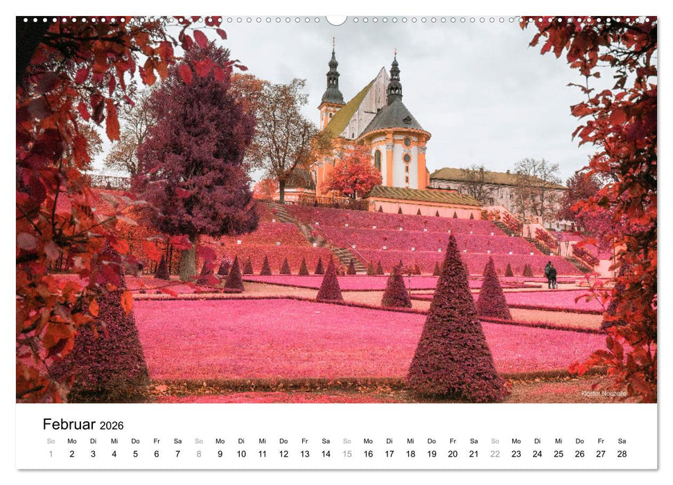 Die Lausitz durch den Infrarotfilter (CALVENDO Wandkalender 2026)