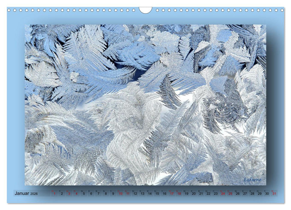 Foto-Art-Natur (CALVENDO Wandkalender 2026)