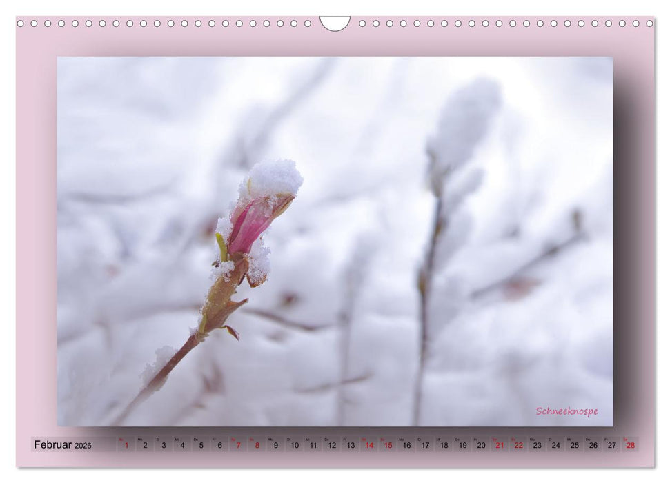 Foto-Art-Natur (CALVENDO Wandkalender 2026)