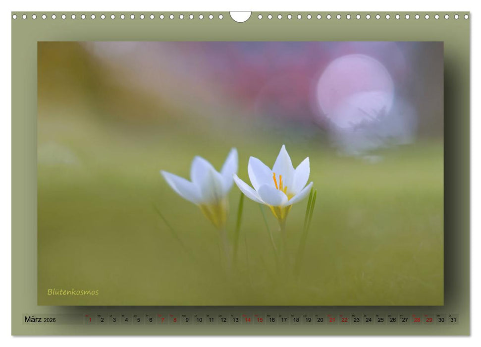 Foto-Art-Natur (CALVENDO Wandkalender 2026)