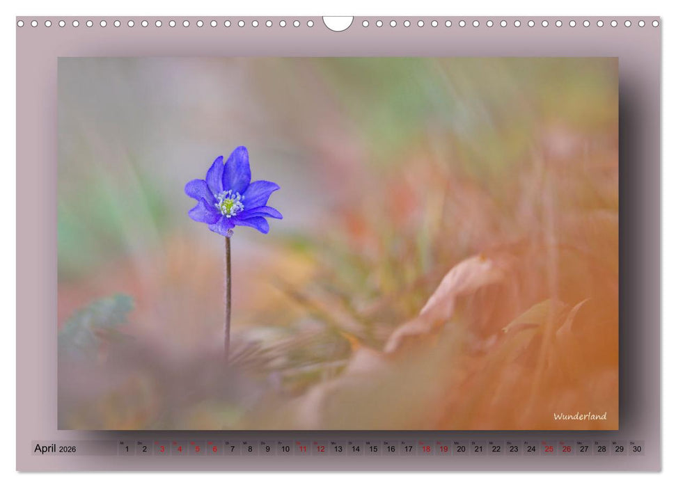 Foto-Art-Natur (CALVENDO Wandkalender 2026)