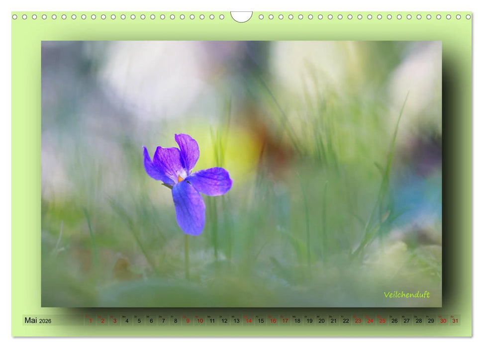 Foto-Art-Natur (CALVENDO Wandkalender 2026)