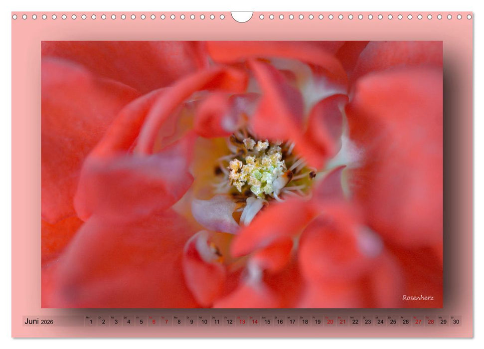 Foto-Art-Natur (CALVENDO Wandkalender 2026)