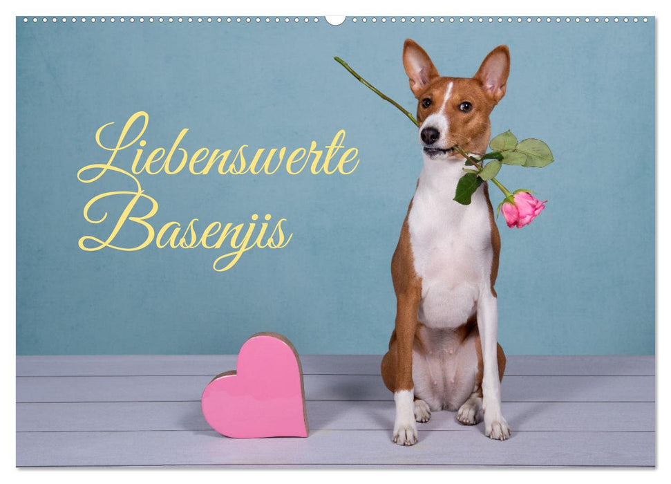 Liebenswerte Basenjis (CALVENDO Wandkalender 2026)