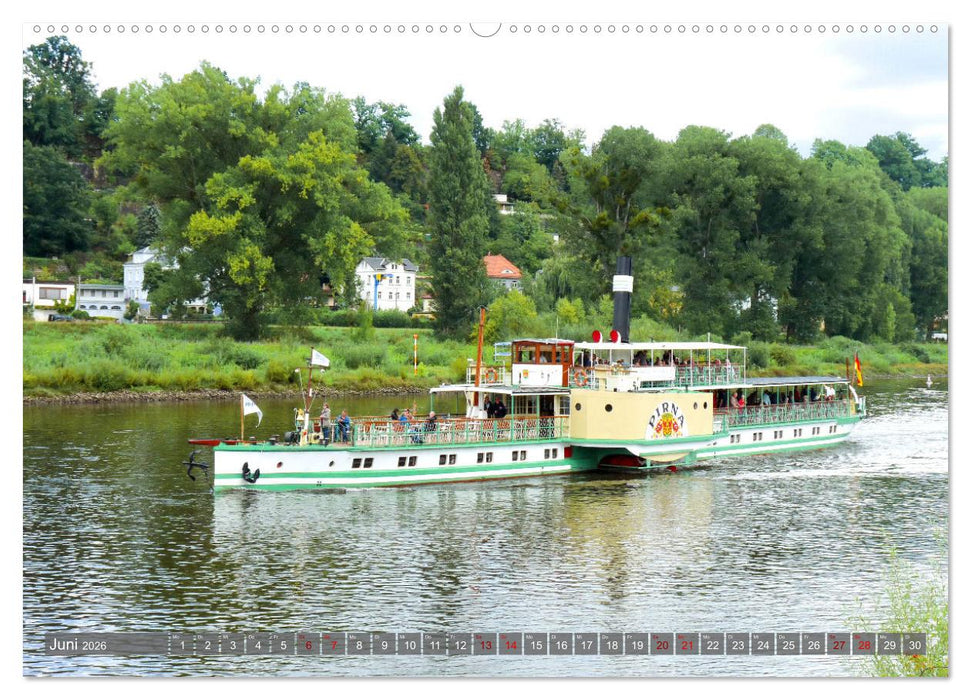 Pirna - Tor zur Sächsischen Schweiz (CALVENDO Wandkalender 2026)