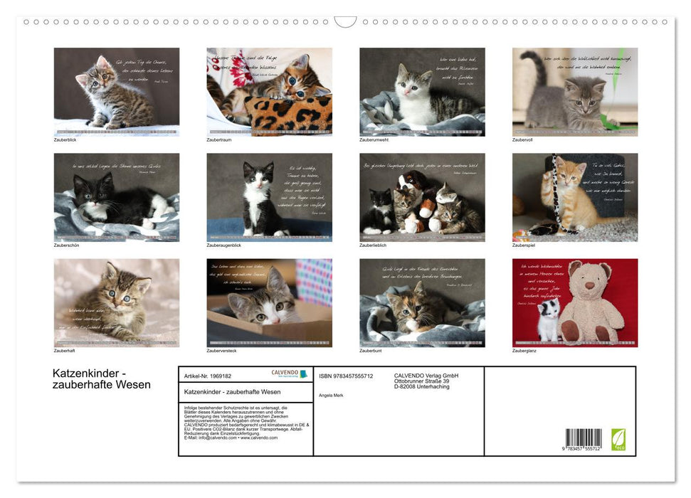 Katzenkinder - zauberhafte Wesen (CALVENDO Wandkalender 2026)