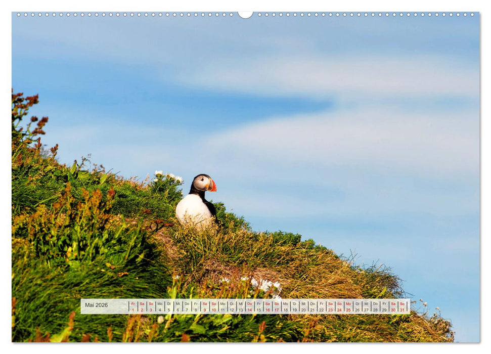 Island - Insel der Sehnsucht (CALVENDO Wandkalender 2026)