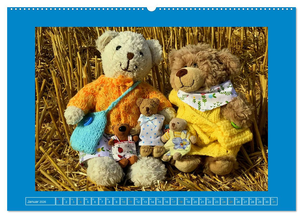 Der Baerchenladen, Teddys und Kunst zum Verlieben (CALVENDO Wandkalender 2026)