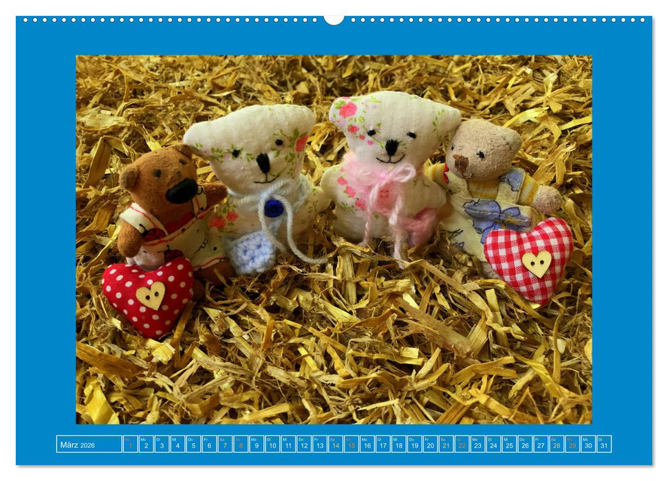 Der Baerchenladen, Teddys und Kunst zum Verlieben (CALVENDO Wandkalender 2026)