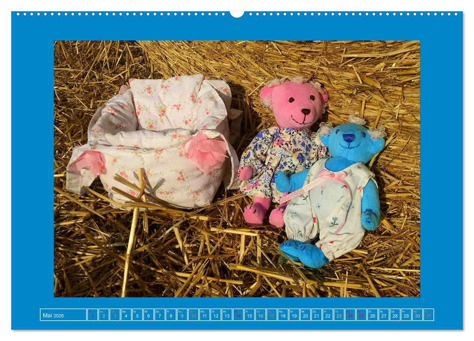 Der Baerchenladen, Teddys und Kunst zum Verlieben (CALVENDO Wandkalender 2026)