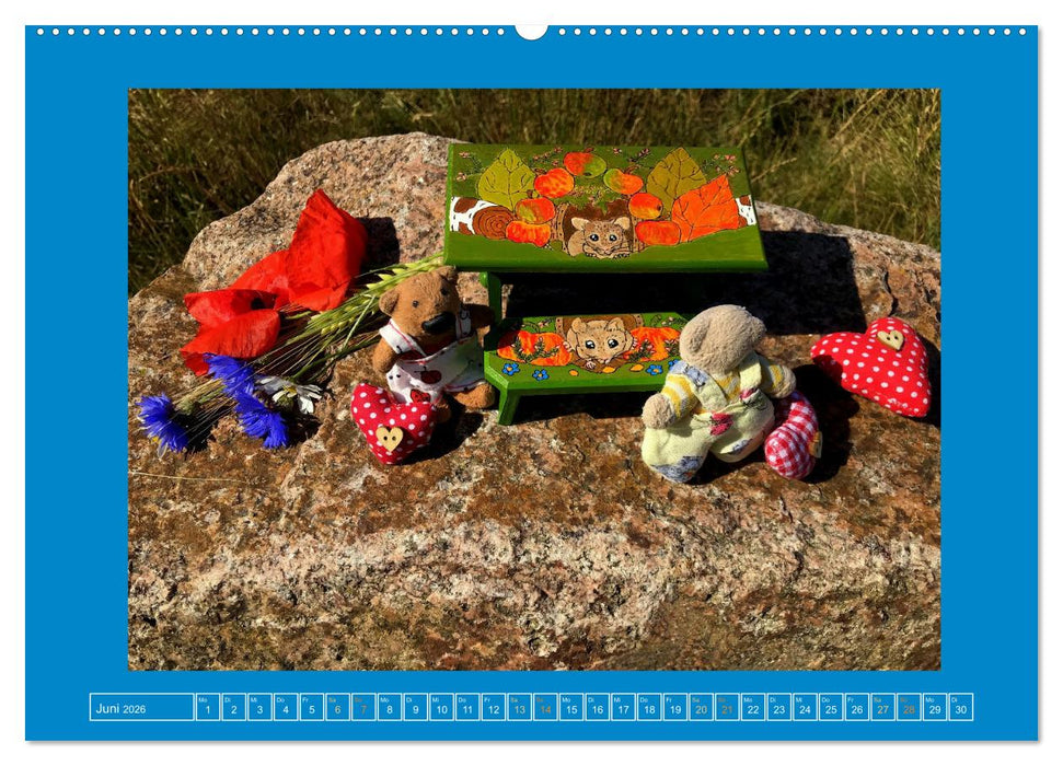 Der Baerchenladen, Teddys und Kunst zum Verlieben (CALVENDO Wandkalender 2026)