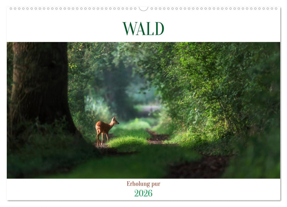 WALD Erholung pur (CALVENDO Wandkalender 2026)