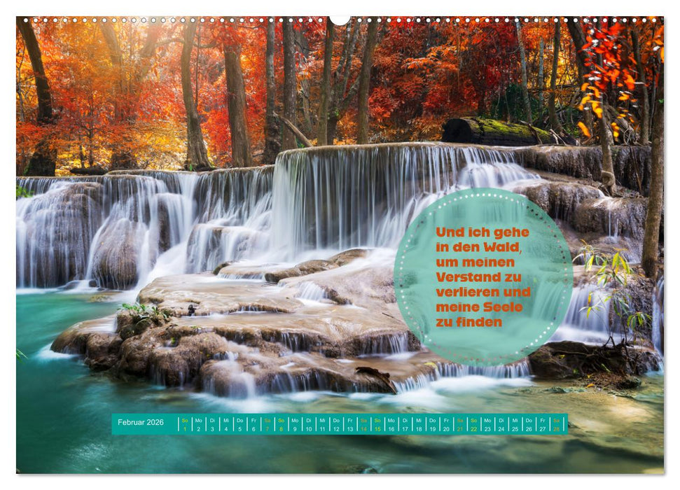 WALD Erholung pur (CALVENDO Wandkalender 2026)