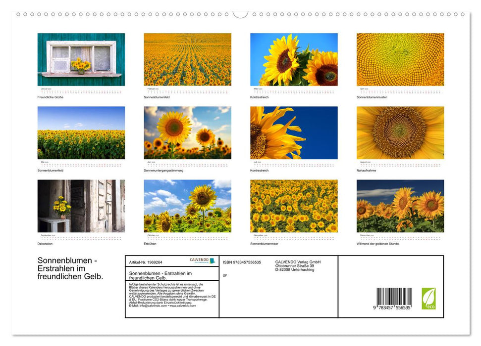 Sonnenblumen - Erstrahlen im freundlichen Gelb. (CALVENDO Premium Wandkalender 2026)