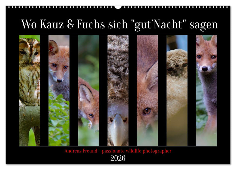 Wo Kauz & Fuchs sich "gut`Nacht" sagen (CALVENDO Wandkalender 2026)