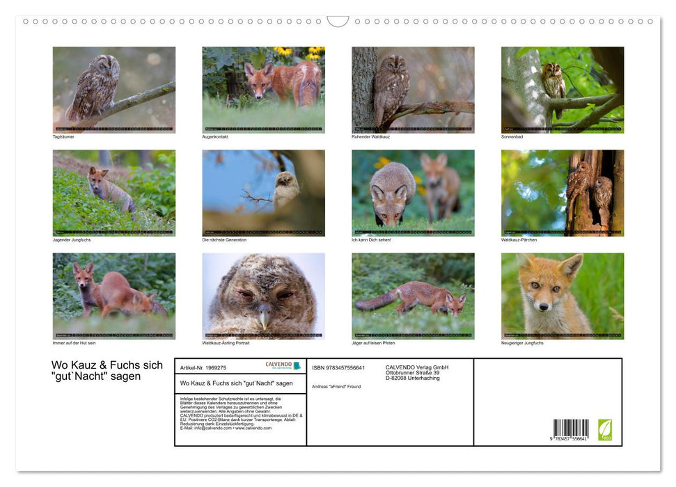 Wo Kauz & Fuchs sich "gut`Nacht" sagen (CALVENDO Wandkalender 2026)