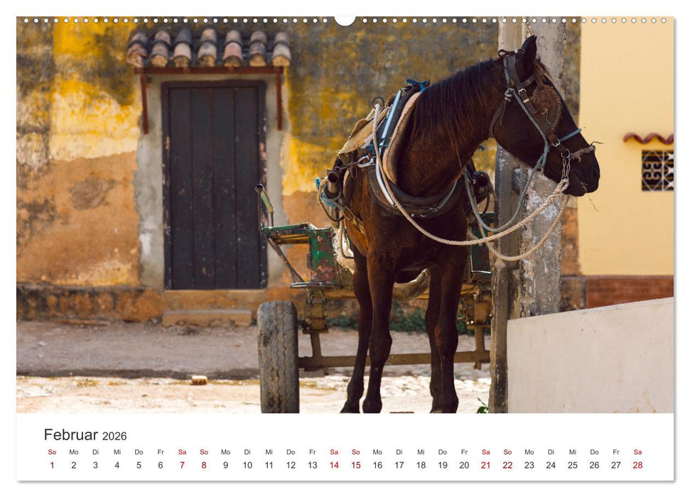 Kuba - Farbenfrohe Impressionen. (CALVENDO Wandkalender 2026)