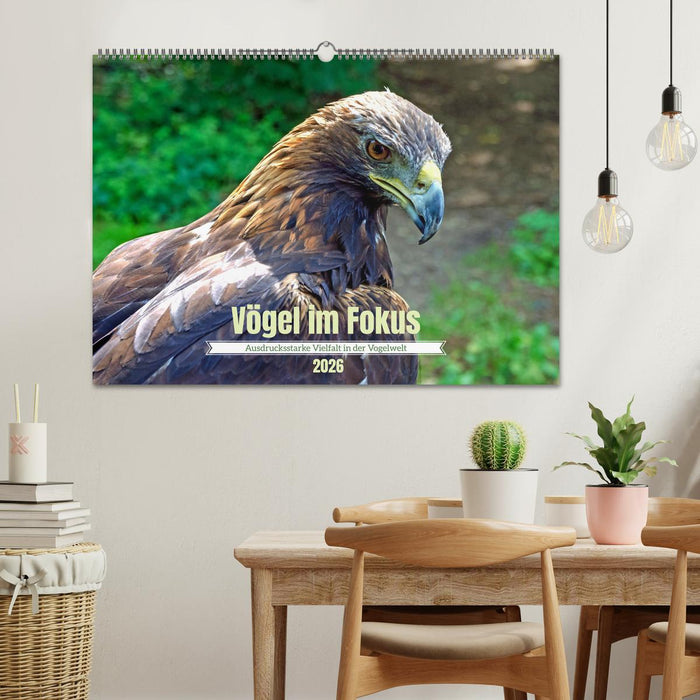 Vögel im Fokus - Ausdrucksstarke Vielfalt in der Vogelwelt (CALVENDO Wandkalender 2026)
