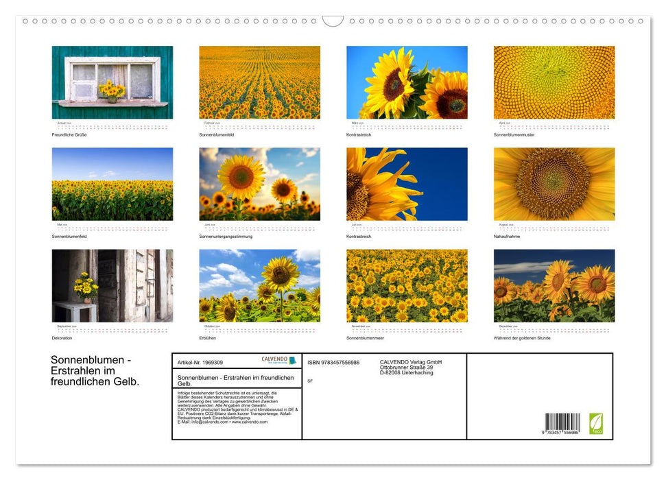 Sonnenblumen - Erstrahlen im freundlichen Gelb. (CALVENDO Wandkalender 2026)