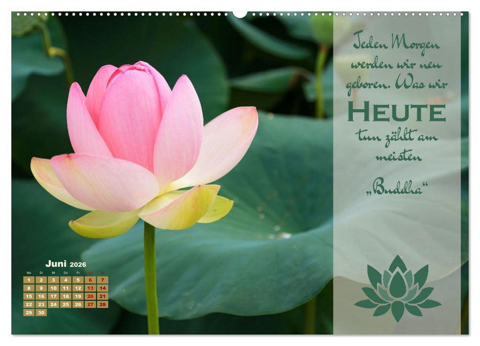 Erleuchtende Worte, Lebensweisheiten von Gautama Buddha by VogtArt (CALVENDO Wandkalender 2026)