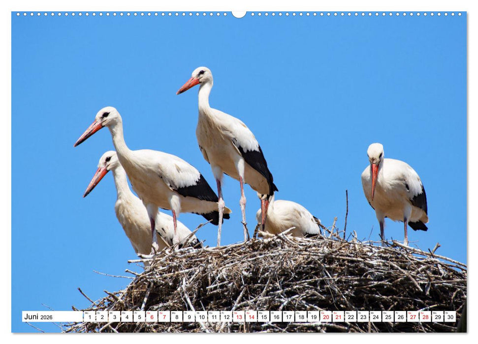 Der Balkan - Streifzüge durch atemberaubende Kulturlandschaften (CALVENDO Wandkalender 2026)