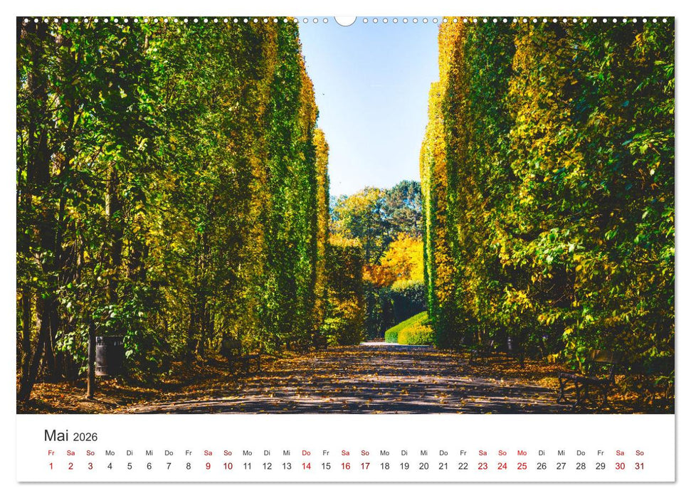 Danzig - Die goldene Stadt an der Ostsee. (CALVENDO Wandkalender 2026)