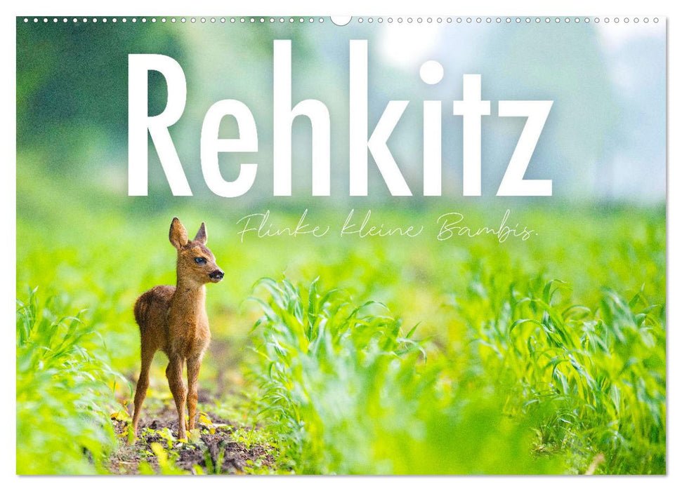 Rehkitz - Flinke kleine Bambis. (CALVENDO Wandkalender 2026)
