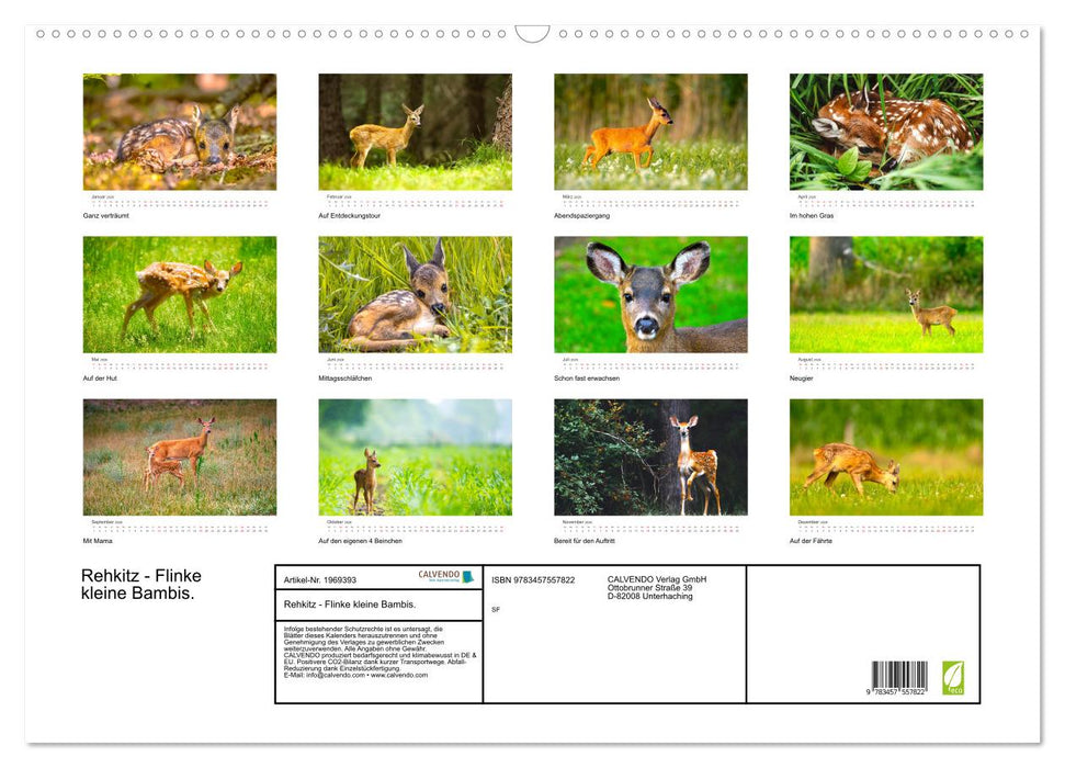 Rehkitz - Flinke kleine Bambis. (CALVENDO Wandkalender 2026)