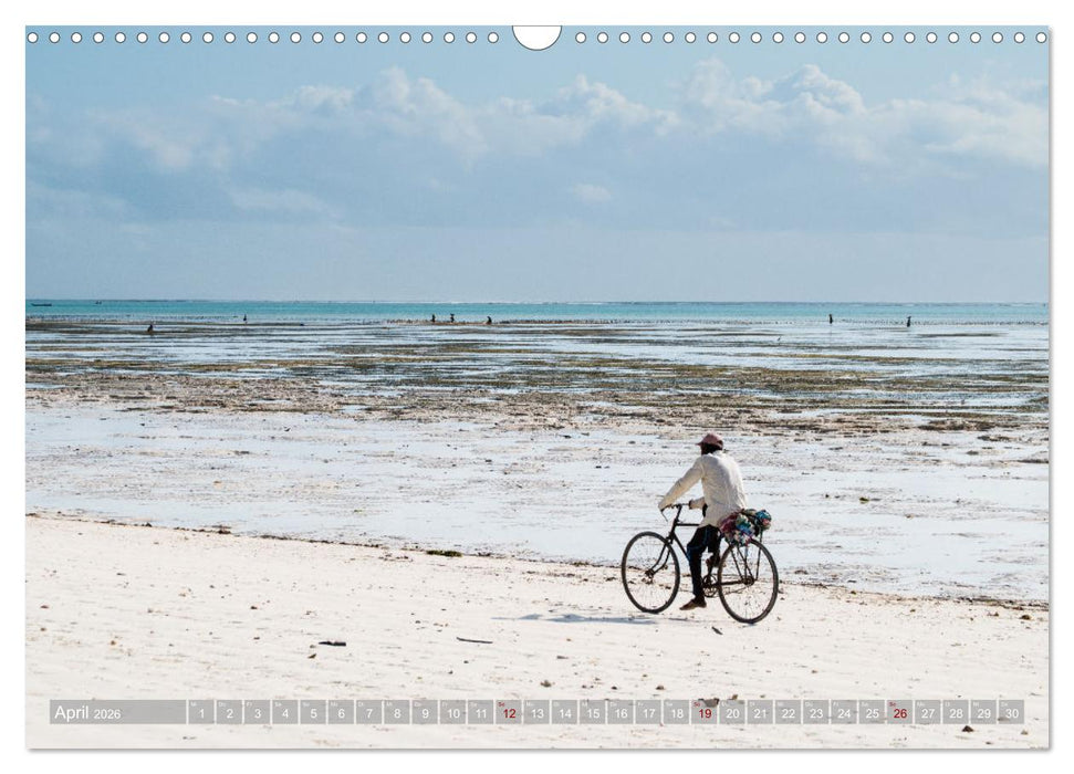 Biken - Impressionen von Rolf Dietz (CALVENDO Wandkalender 2026)