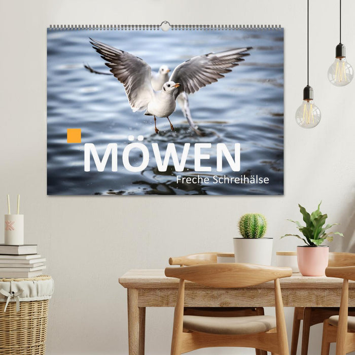 MÖWEN Freche Schreihälse (CALVENDO Wandkalender 2026)