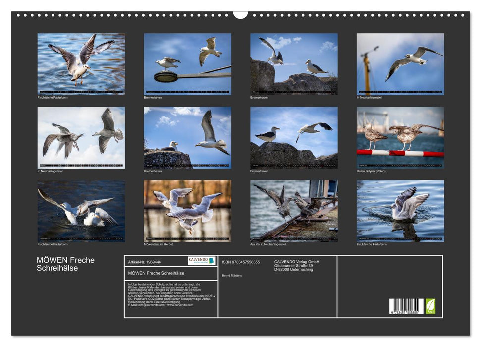 MÖWEN Freche Schreihälse (CALVENDO Wandkalender 2026)