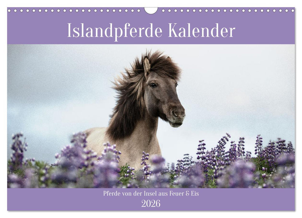 Islandpferde Kalender (CALVENDO Wandkalender 2026)