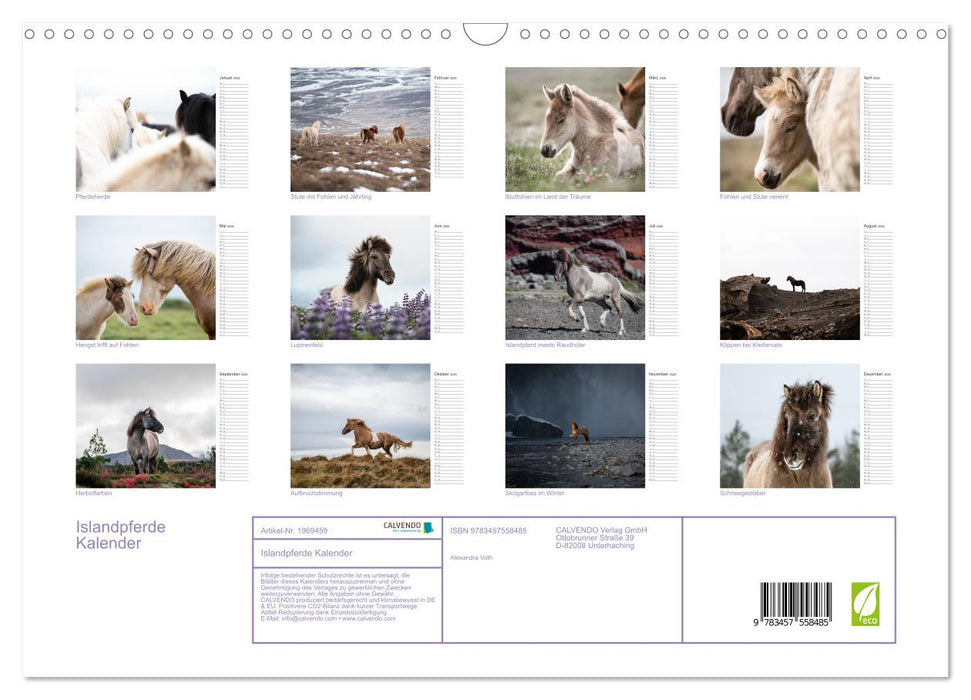 Islandpferde Kalender (CALVENDO Wandkalender 2026)