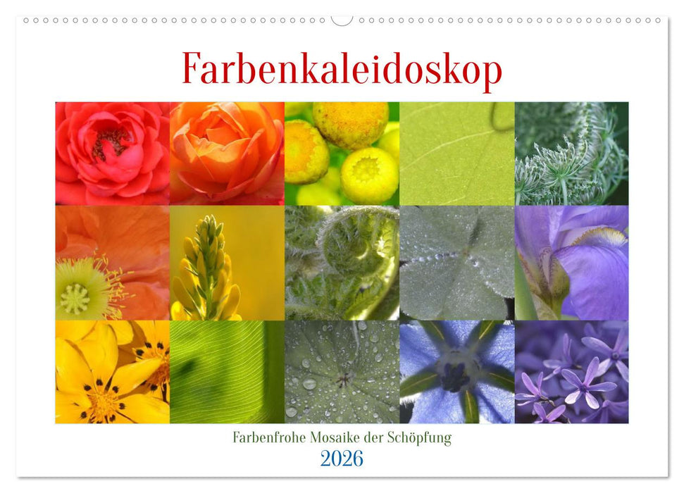 Farbenkaleidoskop (CALVENDO Wandkalender 2026)