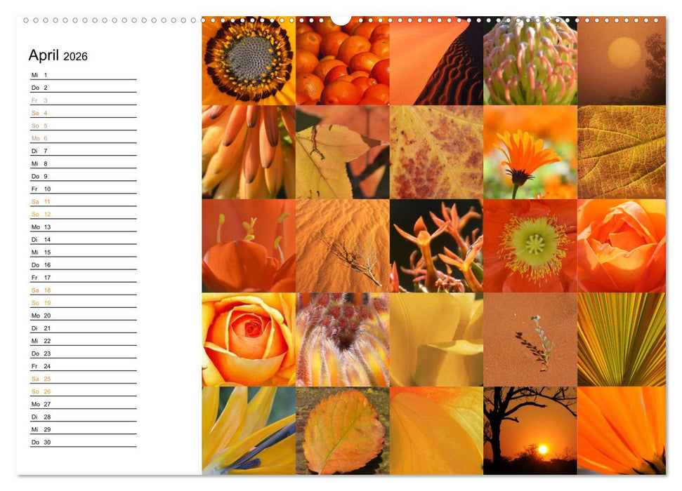 Farbenkaleidoskop (CALVENDO Wandkalender 2026)