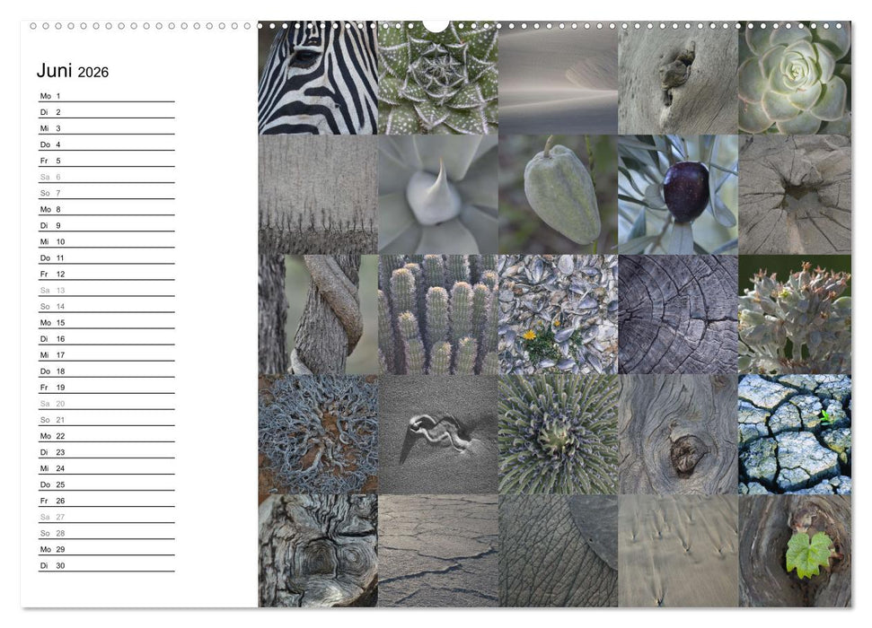 Farbenkaleidoskop (CALVENDO Wandkalender 2026)