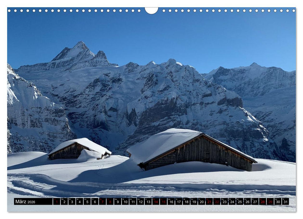 Grindelwald - Jungfrauregion Schweiz (CALVENDO Wandkalender 2026)