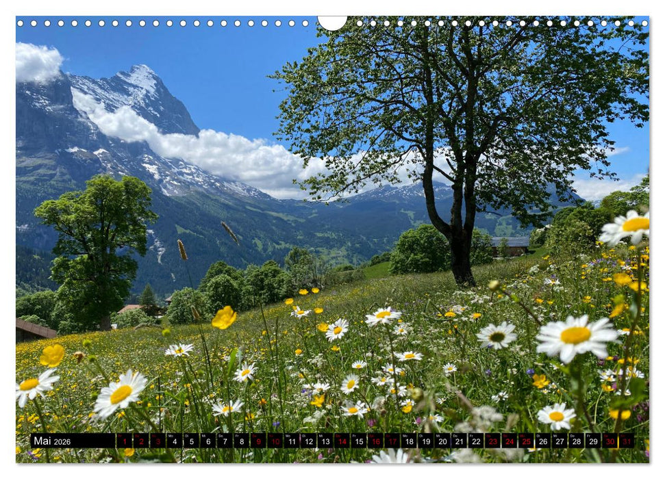 Grindelwald - Jungfrauregion Schweiz (CALVENDO Wandkalender 2026)