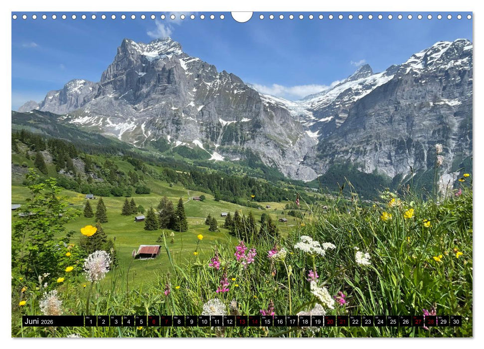 Grindelwald - Jungfrauregion Schweiz (CALVENDO Wandkalender 2026)