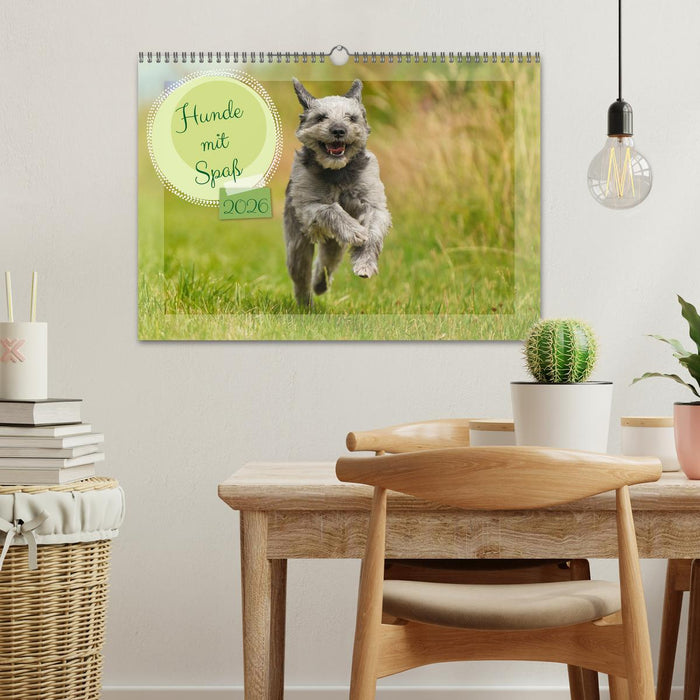 Hunde mit Spaß (CALVENDO Wandkalender 2026)